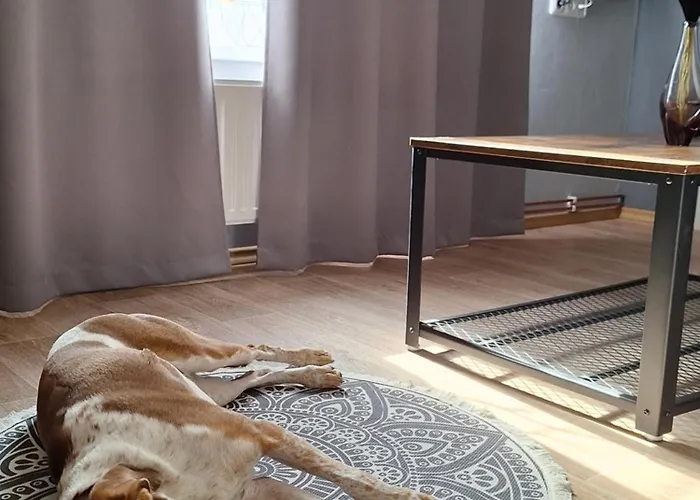 Apartament Na Peci Lanžhot